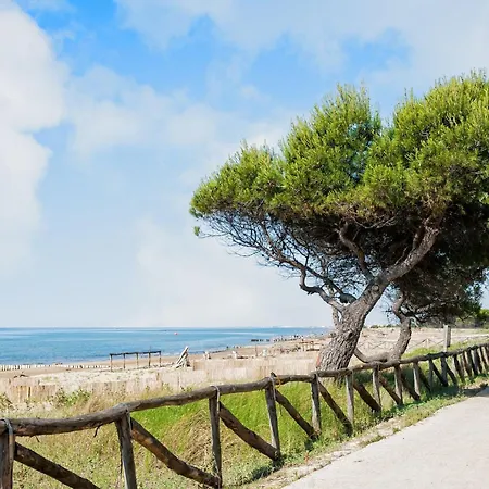 Flat With Terrace And Parking Apartment