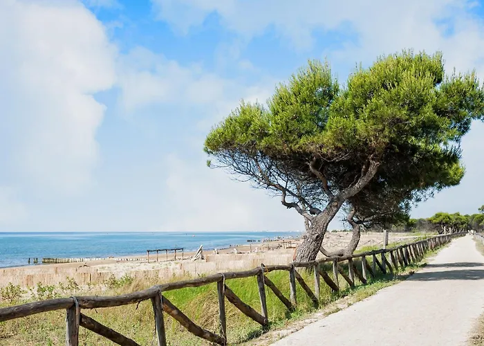 Flat With Terrace And Parking Apartment